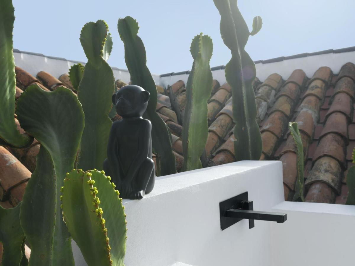 Old City Center Penthouse Málaga Exteriör bild